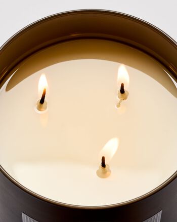 Book Loft 3-Wick Candle 3-Wick Candle