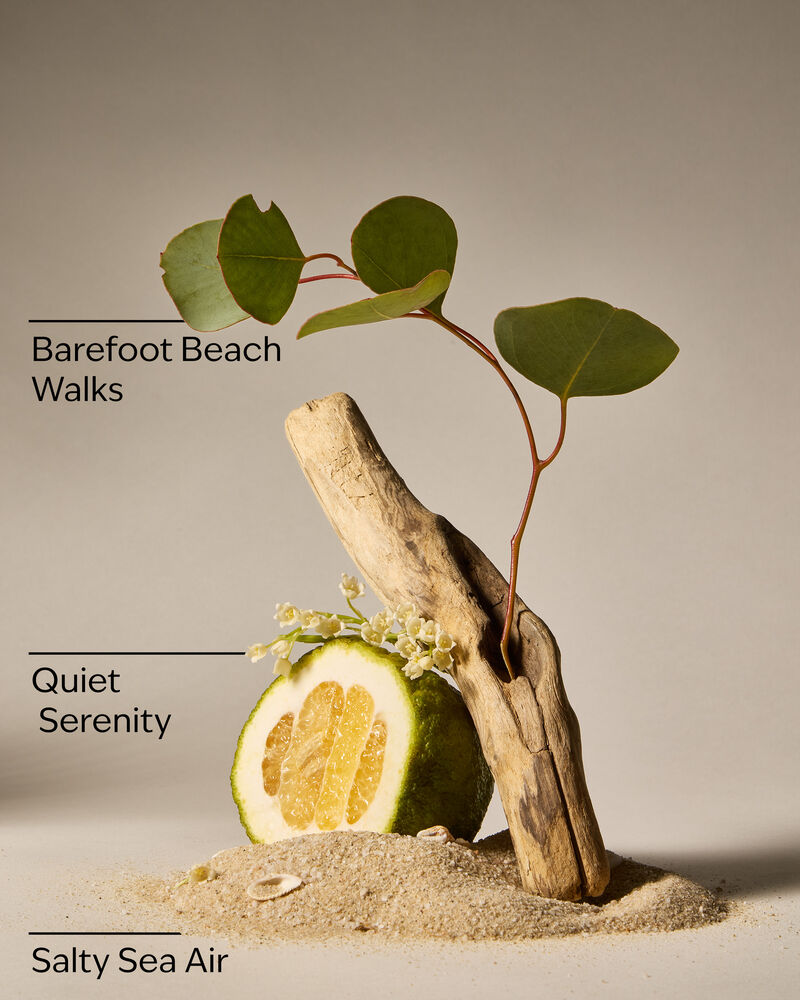 Ocean Town Bound Wallflowers Fragrance Refill Wallflowers Fragrance Refill