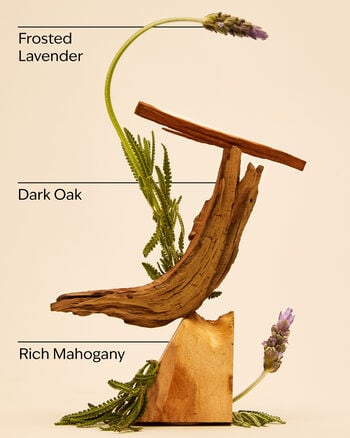 Mahogany Teakwood Hanging Fragrance Diffuser Hanging Fragrance Diffuser