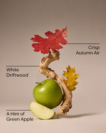 Lakeside Morning Concentrated Room Spray Concentrated Room Spray