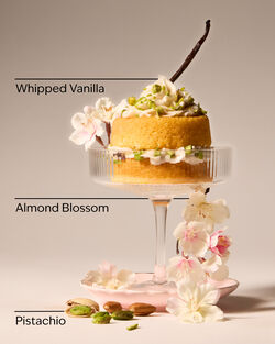 Toasted Pistachio Travel Size Fine Fragrance Mist