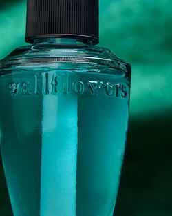 Mulan Wallflowers Fragrance Refill image number null