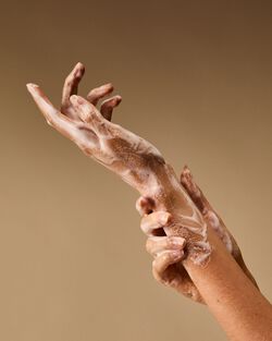 Snow White Gentle & Clean Foaming Hand Soap image number null