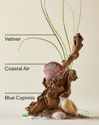 Ocean Travel Size Cologne Mist Travel Size Cologne Mist