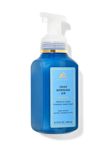 Crisp Morning Air Gentle & Clean Foaming Hand Soap Gentle & Clean Foaming Hand Soap