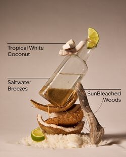 Waikiki Beach Coconut Travel Size Fine Fragrance Mist image number null