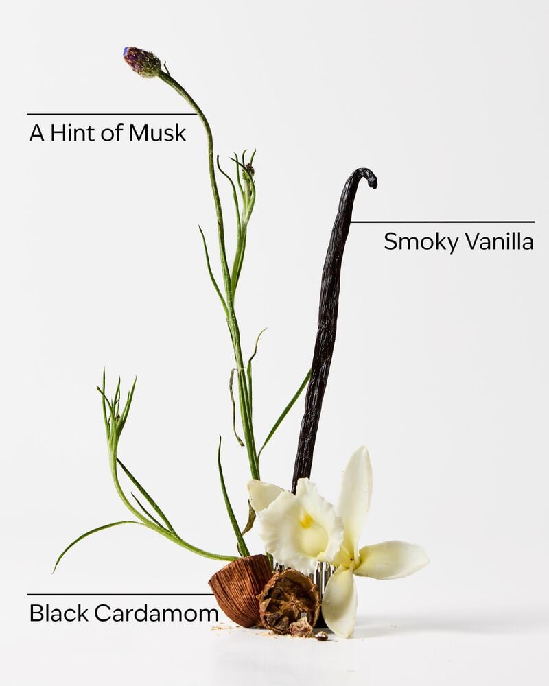 Noir Travel Size Cologne Mist Travel Size Cologne Mist