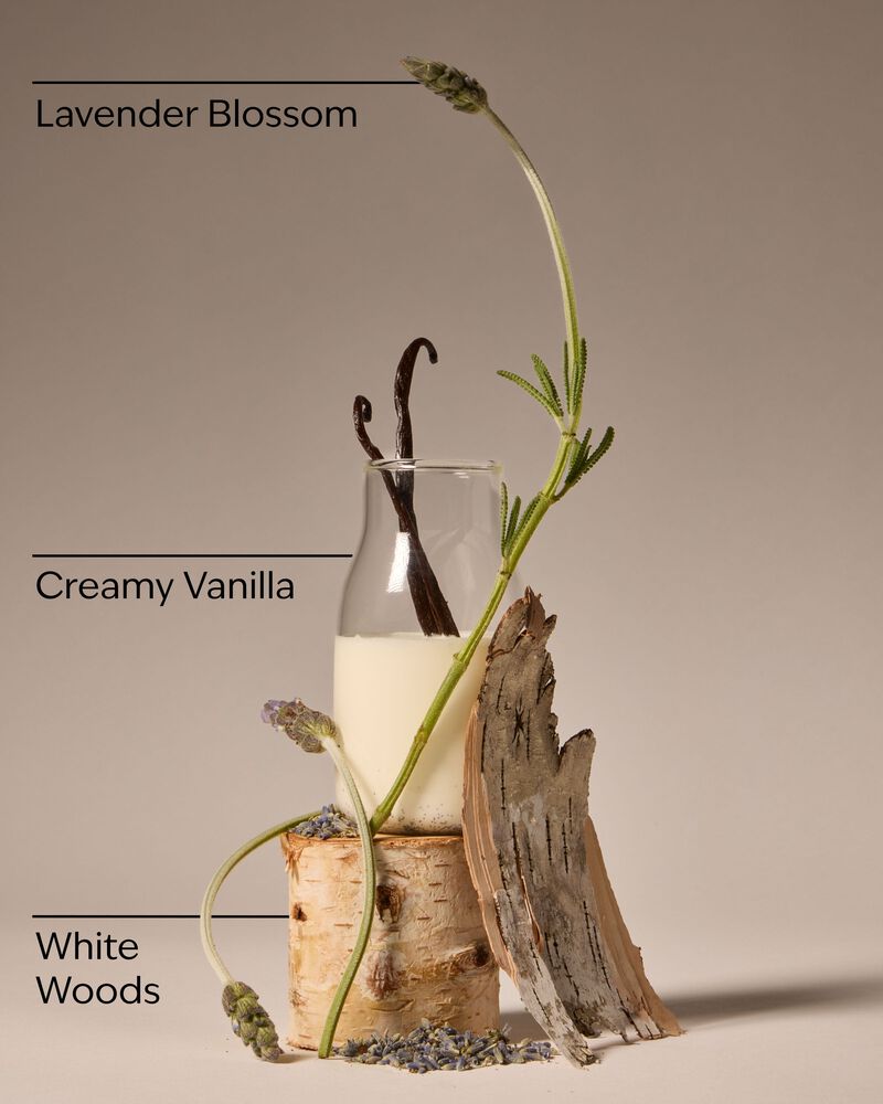 Lavender Vanilla Gift Set Gift Set