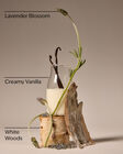 Lavender Vanilla Body Cream image number null