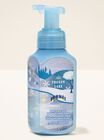 Frozen Lake Gentle & Clean Foaming Hand Soap image number null