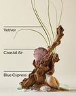 Ocean Beard Oil image number null