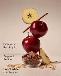 Apple Cinnamon Spice Concentrated Room Spray image number null