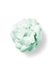 Vanilla Bean Noel Shapeable Soap image number null