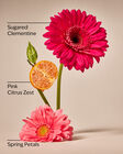Pink Clementine Cleansing Gel Hand Soap image number null