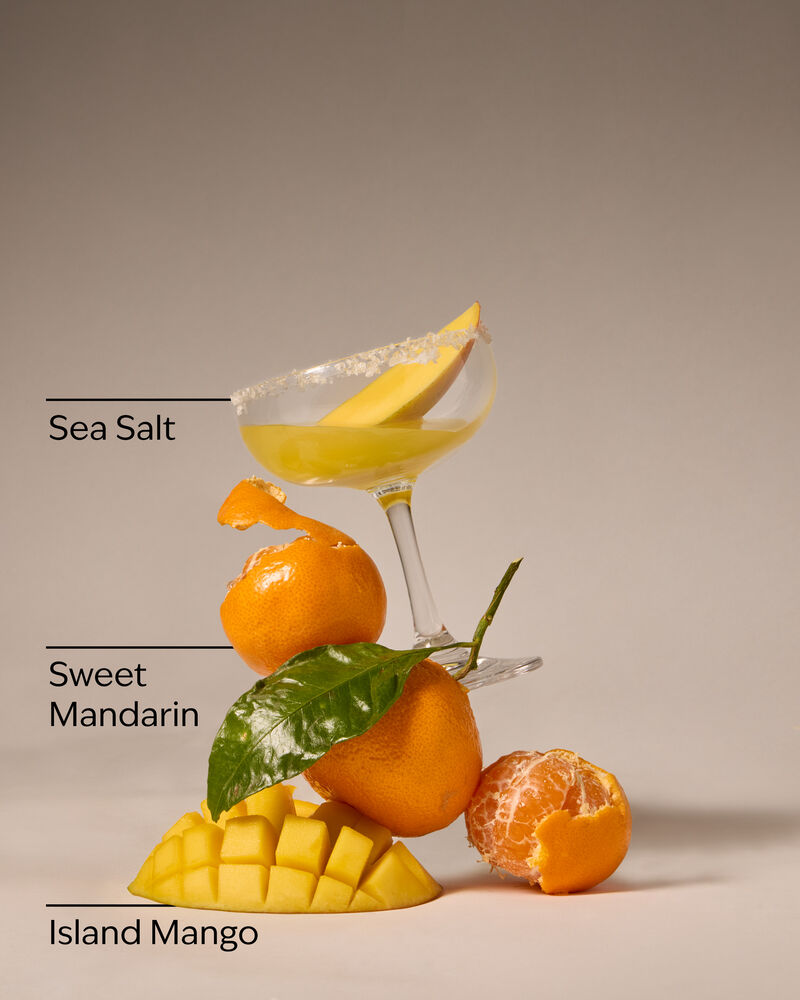 Island Margarita Signature Single Wick Candle Single Wick Candle