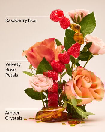 Into The Night Fine Fragrance Mist Fine Fragrance Mist