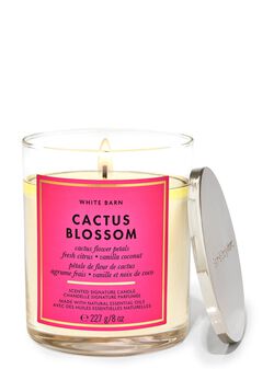 Cactus Blossom Signature Single Wick Candle image number null