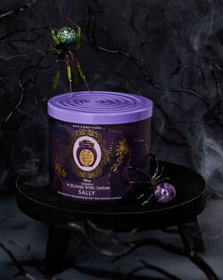 Sally 3-Wick Candle image number null