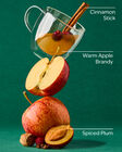 Spiced Apple Toddy Mason Single Wick Candle image number null