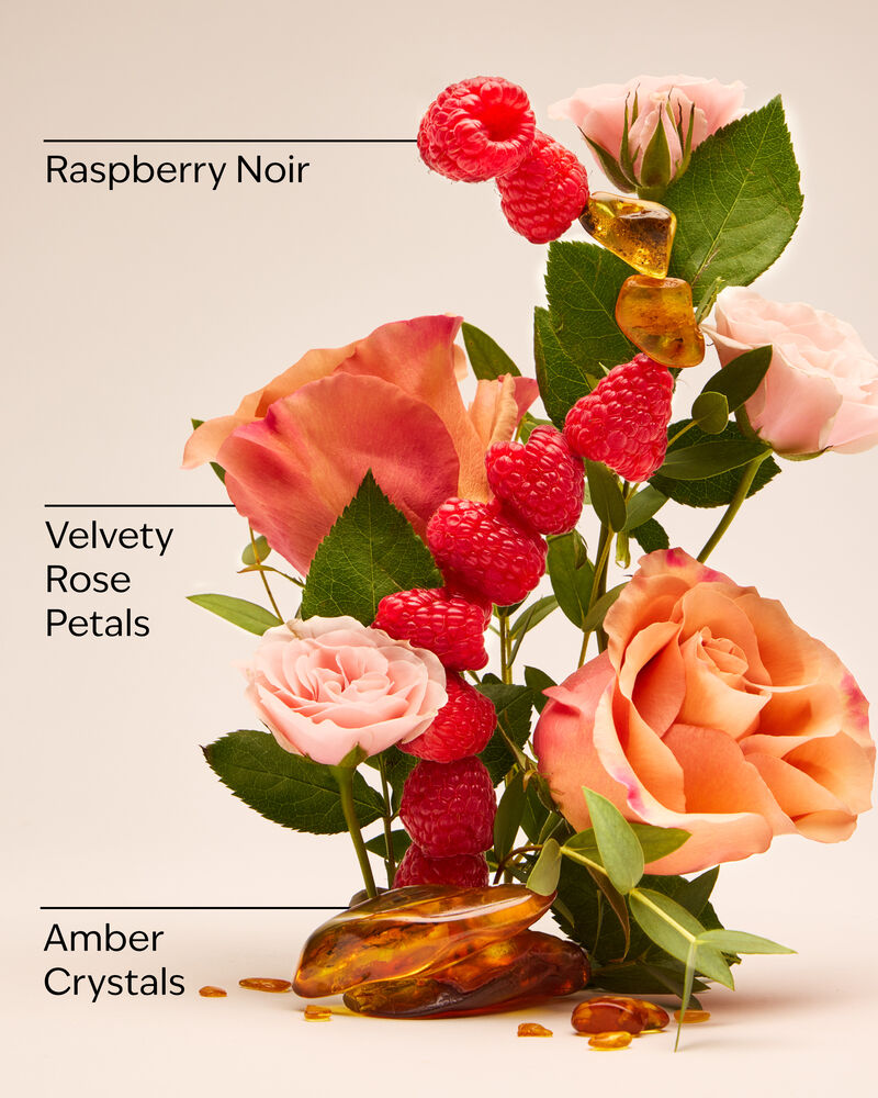 Into The Night Hand Cream Hand Cream