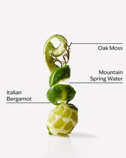 Freshwater Body Spray image number null