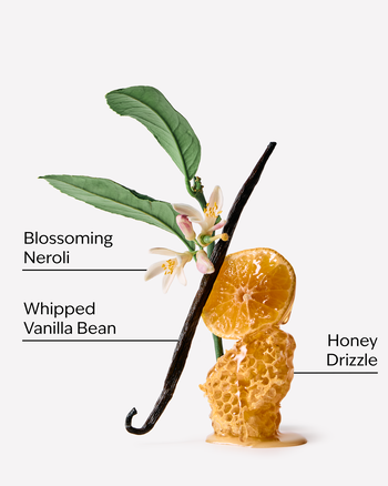 Whipped Honey & Vanilla Gentle & Clean Foaming Hand Soap Refill Gentle & Clean Foaming Hand Soap Refill