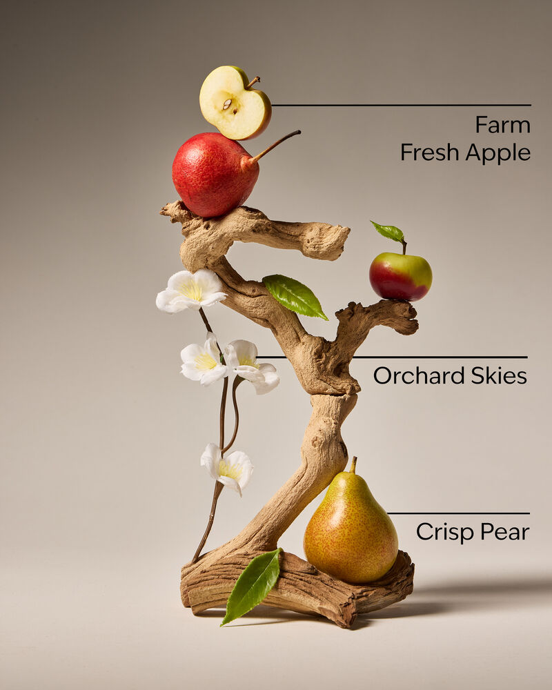 Sweet Apple Gentle & Clean Foaming Hand Soap Foaming Hand Soap