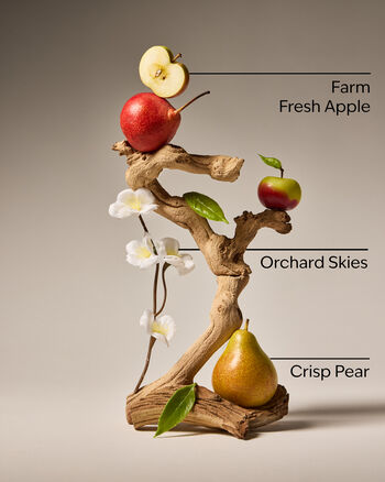 Sweet Apple Gentle & Clean Foaming Hand Soap Foaming Hand Soap