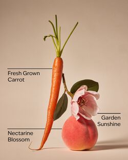 Carrot & Nectarine 3-Wick Candle image number null