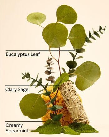 Eucalyptus + Spearmint Gentle & Clean Foaming Hand Soap Gentle & Clean Foaming Hand Soap