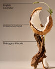Mahogany Coconut 3-Wick Candle image number null