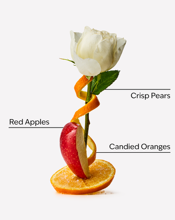 Winter Candy Apple Bath Fizzy Bath Fizzy