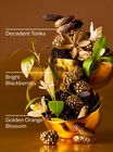 Touch of Gold Gentle & Clean Foaming Hand Soap image number null