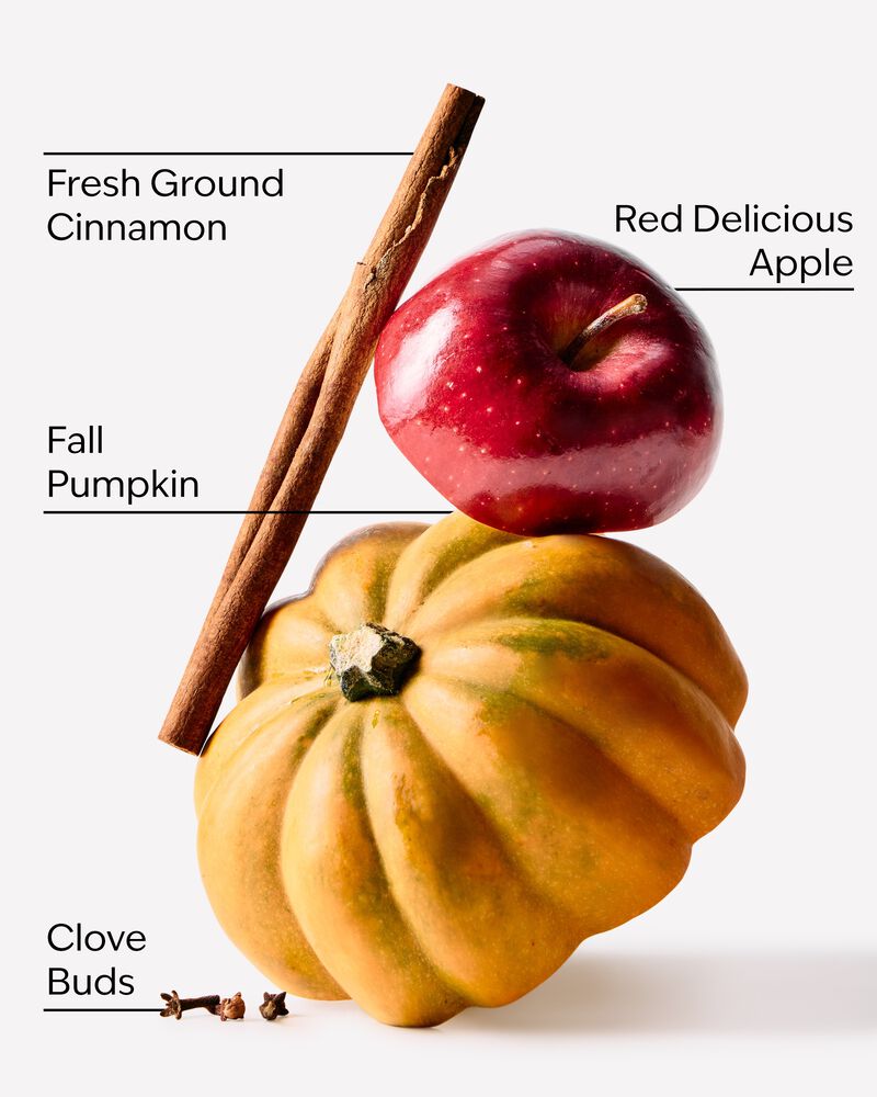 Pumpkin Apple Cleansing Gel Hand Soap Cleansing Gel Hand Soap