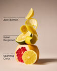 Kitchen Lemon Foaming Hand Soap image number null