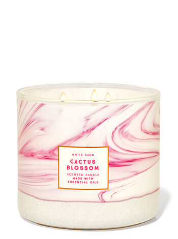 Cactus Blossom 3-Wick Candle 3-Wick Candle