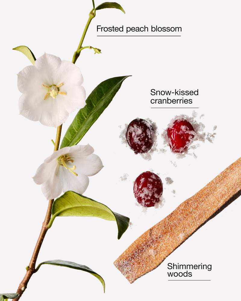 Snowy Peach Berry Gentle & Clean Foaming Hand Soap Gentle & Clean Foaming Hand Soap