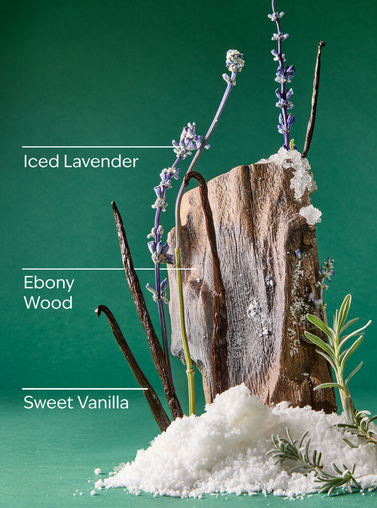 Iced Vanilla Woods 3-Wick Candle 3-Wick Candle