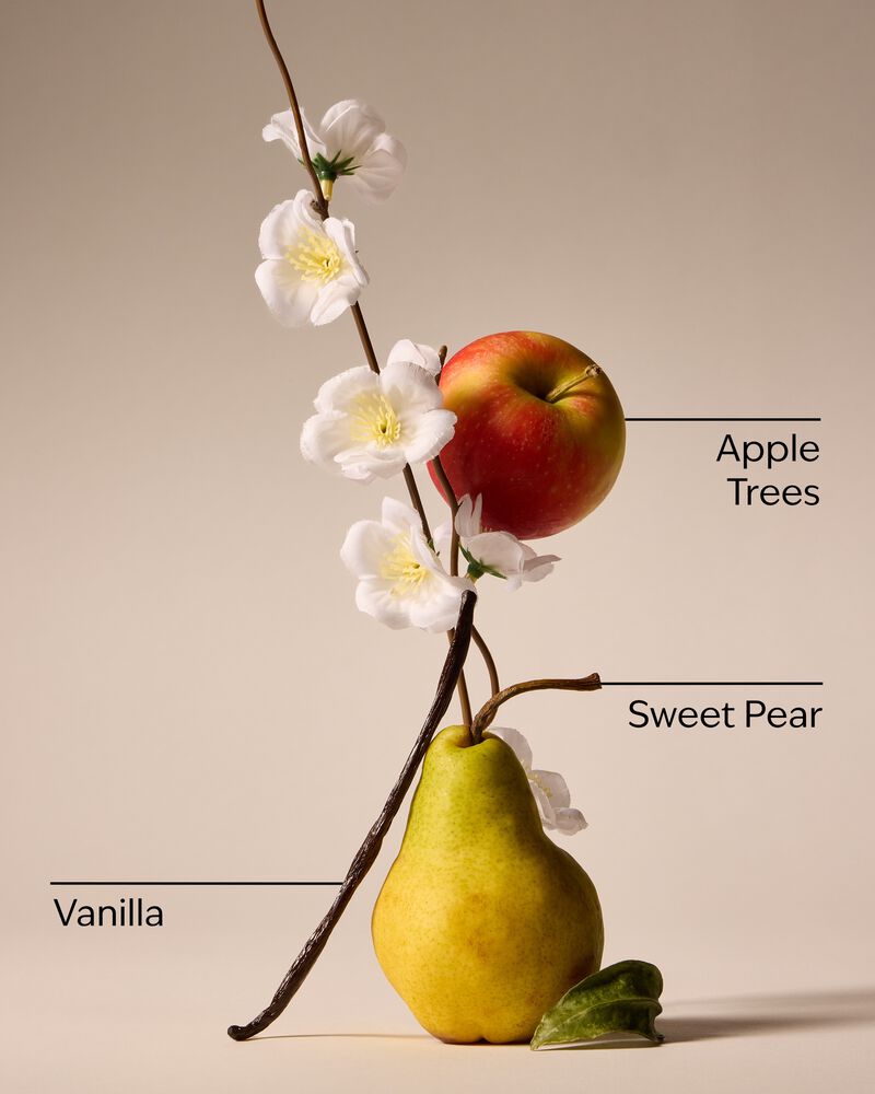 Spring Apple Car Fragrance Refill Car Fragrance Refill