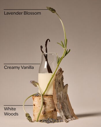 Lavender Vanilla Moisturizing Body Wash Moisturizing Body Wash
