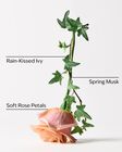 Rose Water & Ivy Body Wash & Shower Gel image number null
