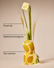 Laundry Room Lemon Concentrated Room Spray image number null