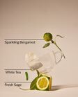 White Tea & Sage Cleansing Gel Hand Soap image number null