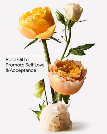 Heirloom Rose Body Lotion Body Lotion
