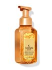 Churro Cinnamon Bun Gentle & Clean Foaming Hand Soap image number null