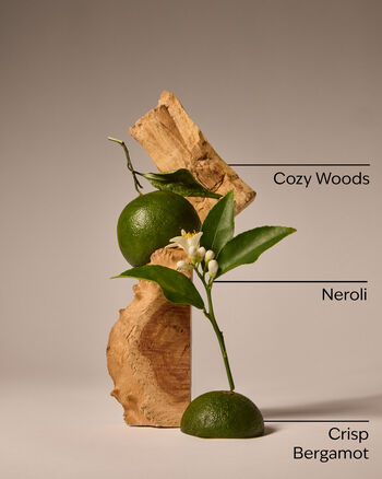 Book Loft Single Wick Candle Single Wick Candle