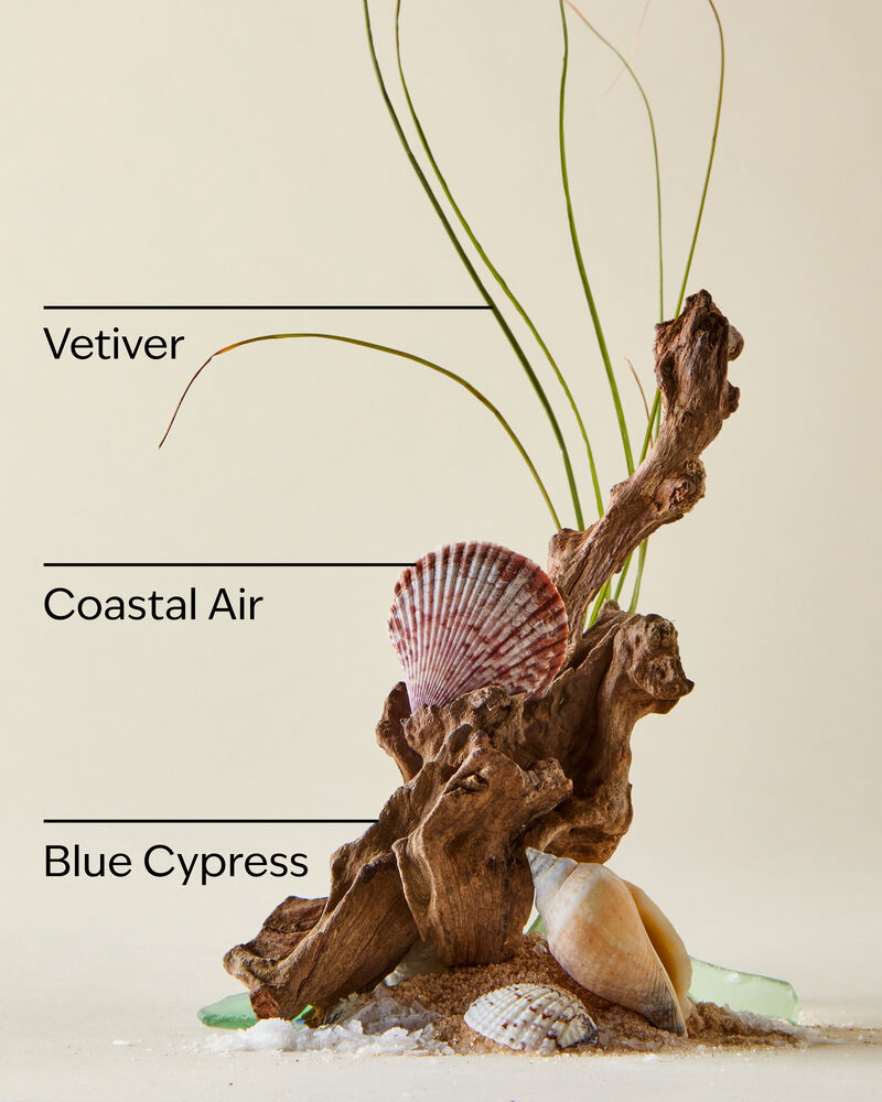 Ocean Tent Gift Gift Set