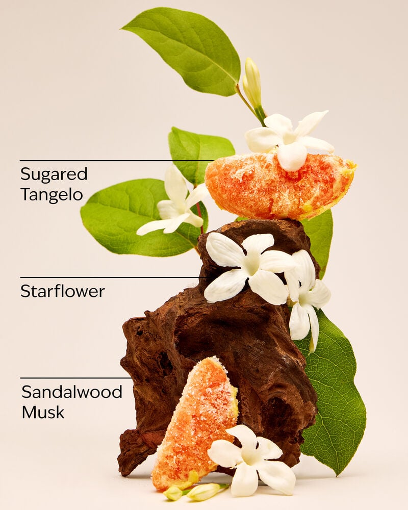 In The Stars Ultimate Hydration Body Cream Ultimate Hydration Body Cream