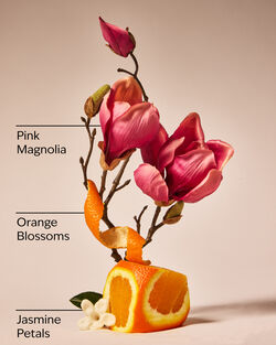 Pink Petal Confetti Wallflowers Fragrance Refill image number null