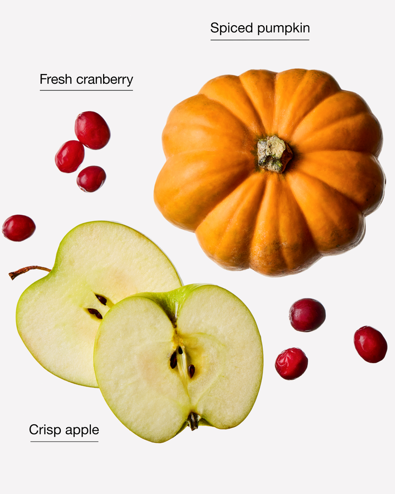 The Perfect Autumn 3-Wick Candle 3-Wick Candle